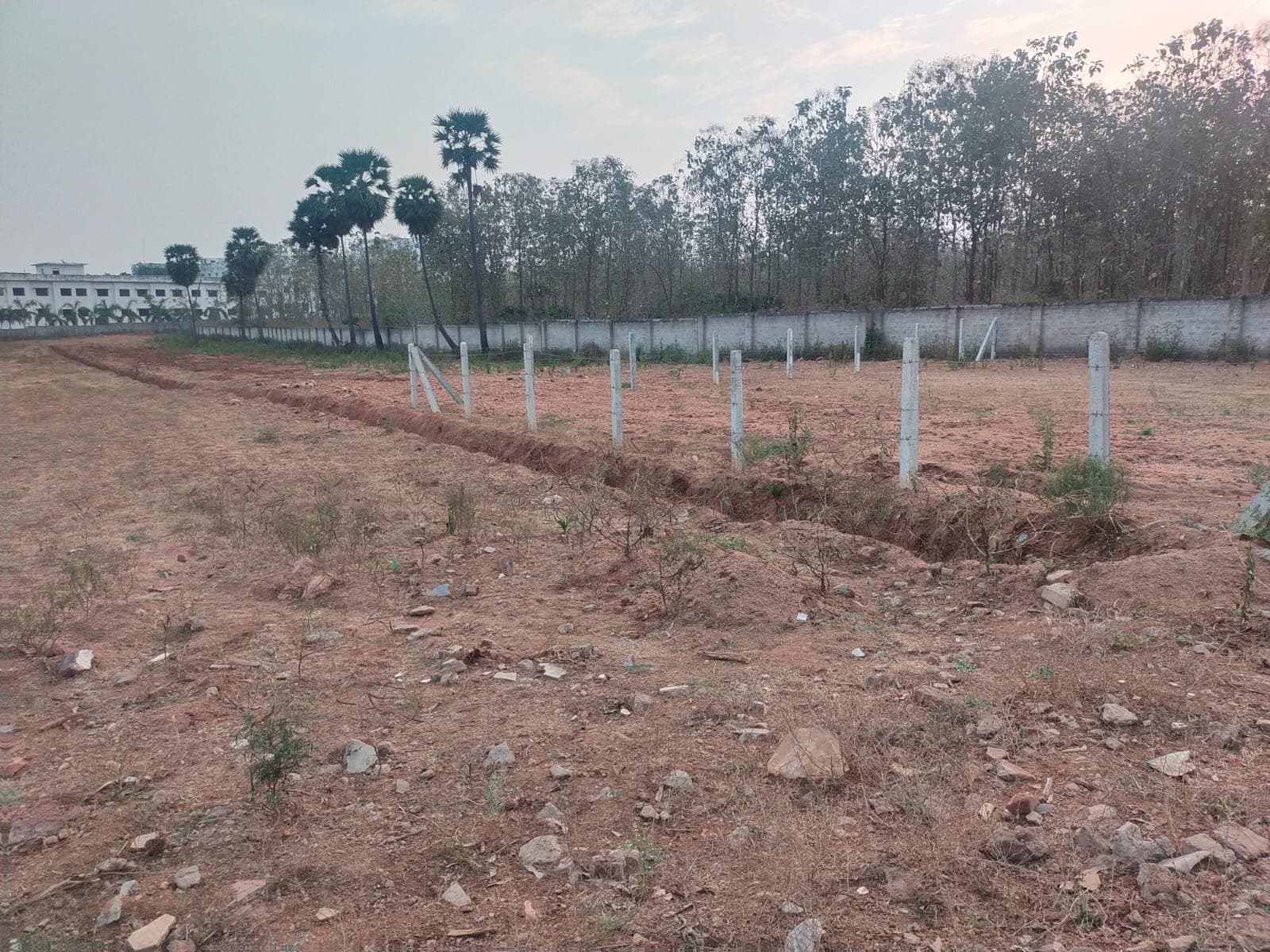 Plot 288 Sq.Yd — Bhoghapuram Near Airport